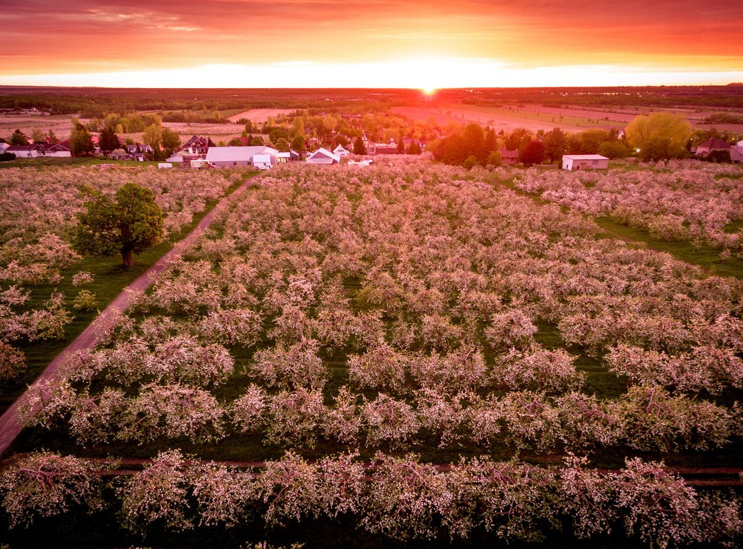 Verger Lamarche-Saint-Joseph-du-Lac必去景点