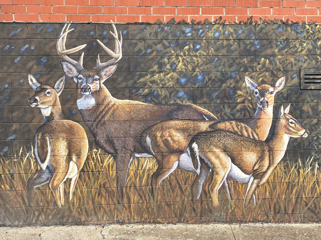 Murals of the Wiregrass-多森必去景点