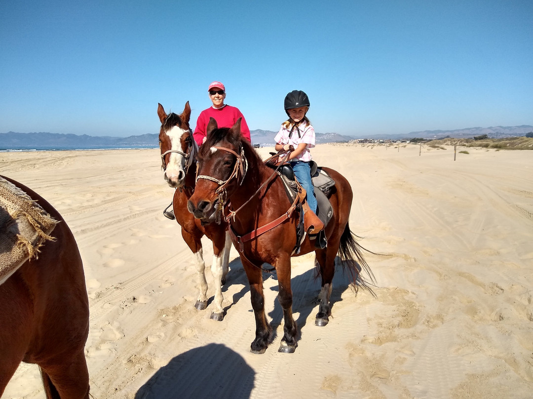 Pacific Dunes Ranch Riding Stables景点图片