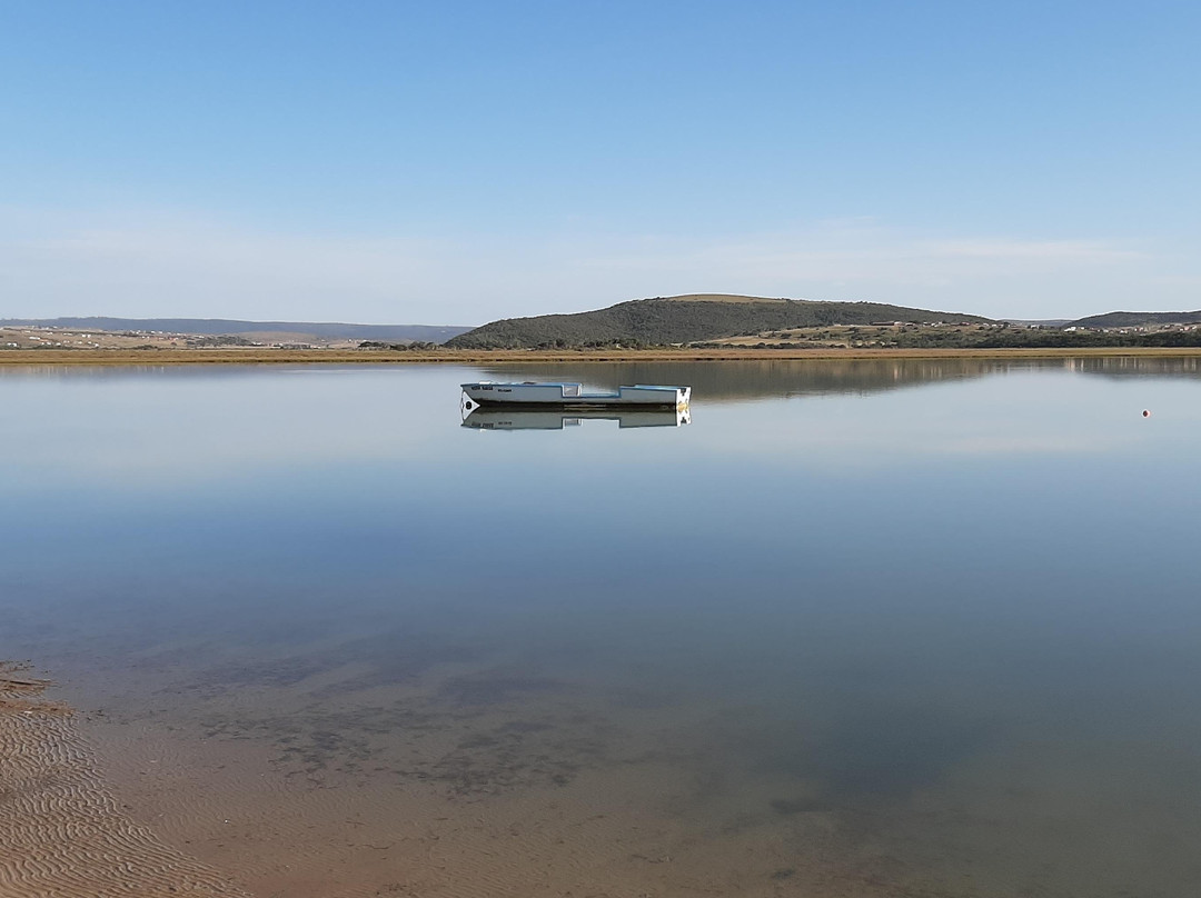 African Oystercatcher Birding Safaris-Hamburg必去景点