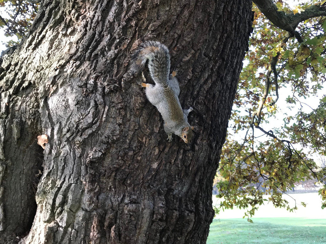 里奇蒙德高尔夫球场-伦敦必去景点