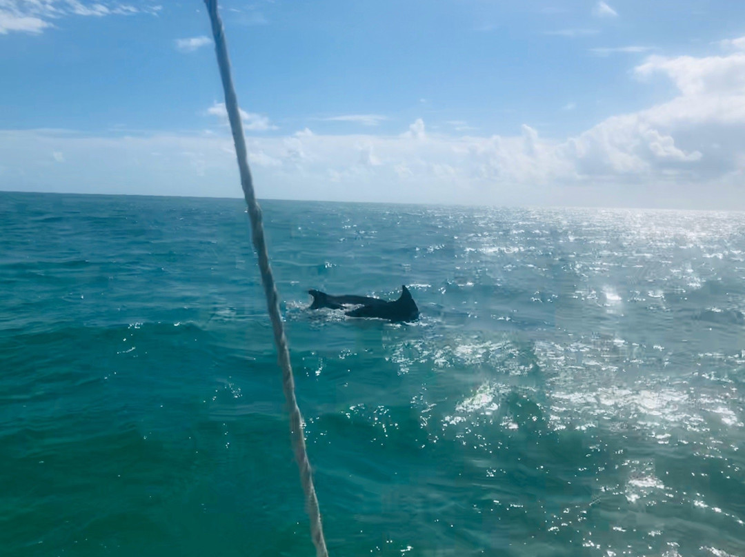 Dancing Dolphin Spirits Charters with Captain Victoria Impallomeni-基韦斯特必去景点
