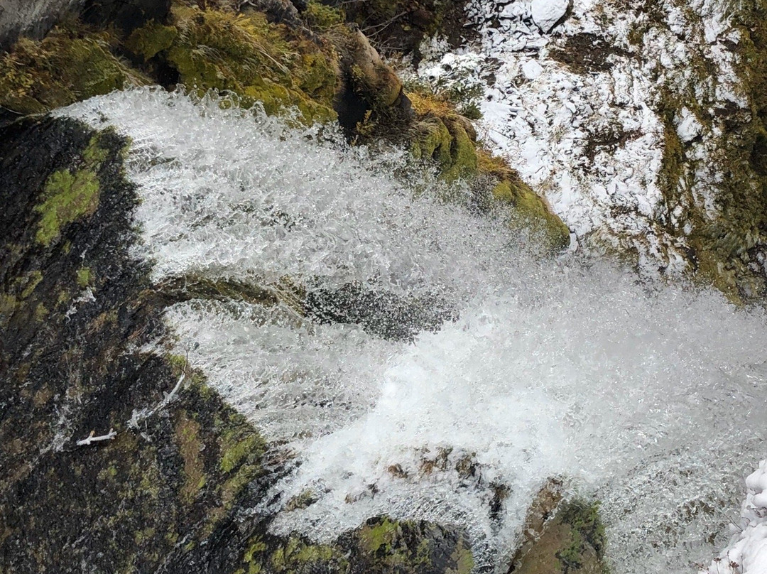 Tumalo Falls景点图片
