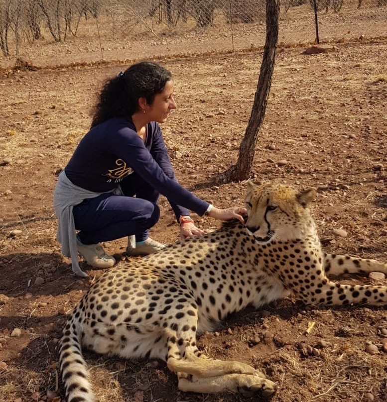 Lion and Cheetah Sanctuary-柯立南必去景点