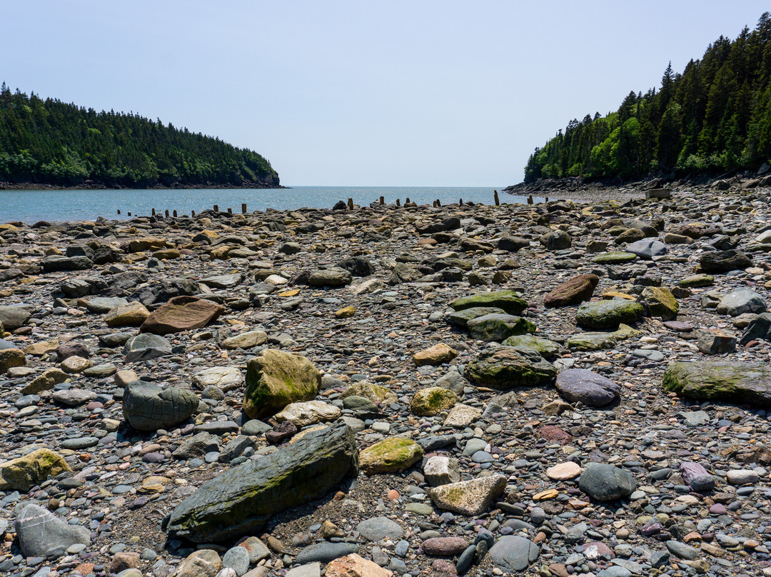 Point Wolfe Beach景点图片