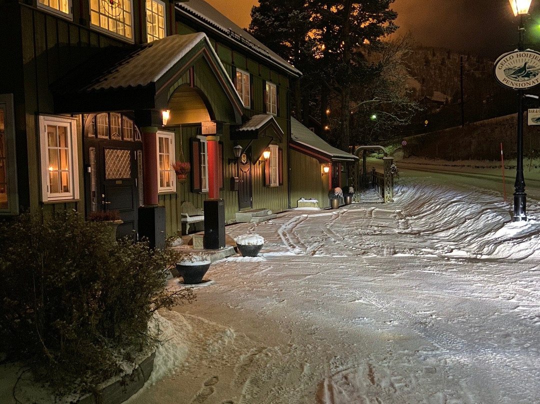 Geilo Mountain Lodge主图