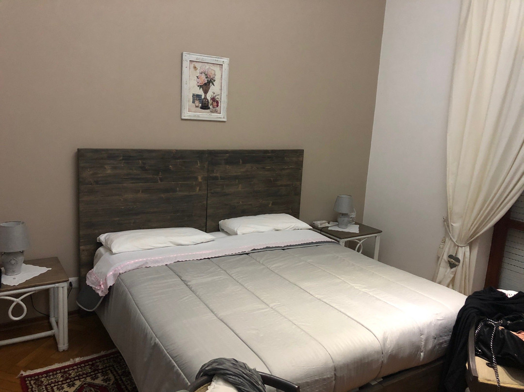 Viro House主图