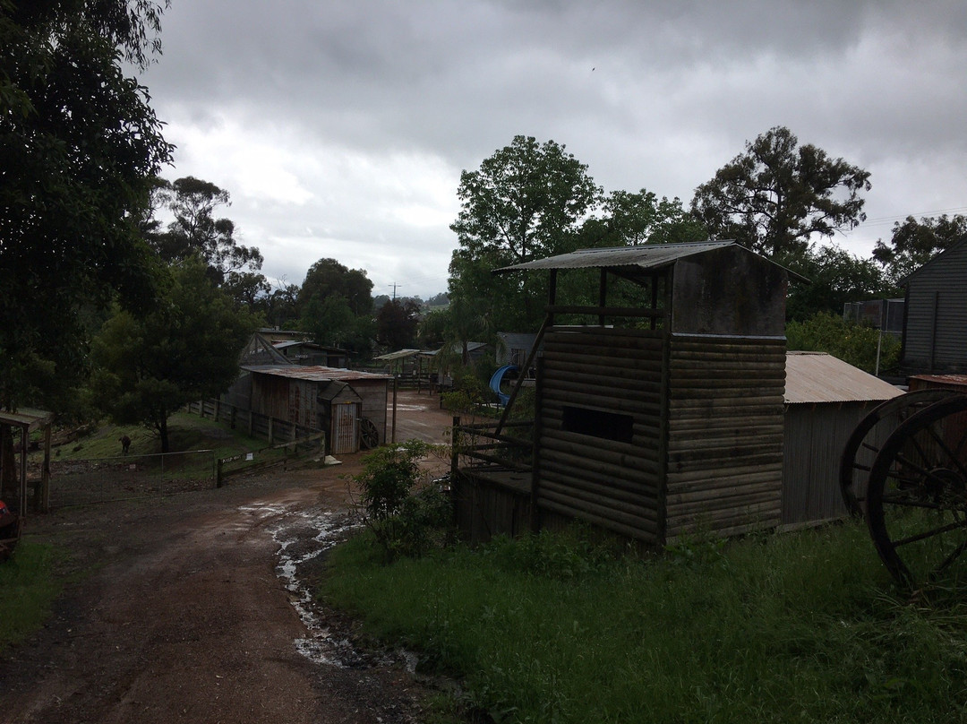 A Twist Of Willow主图