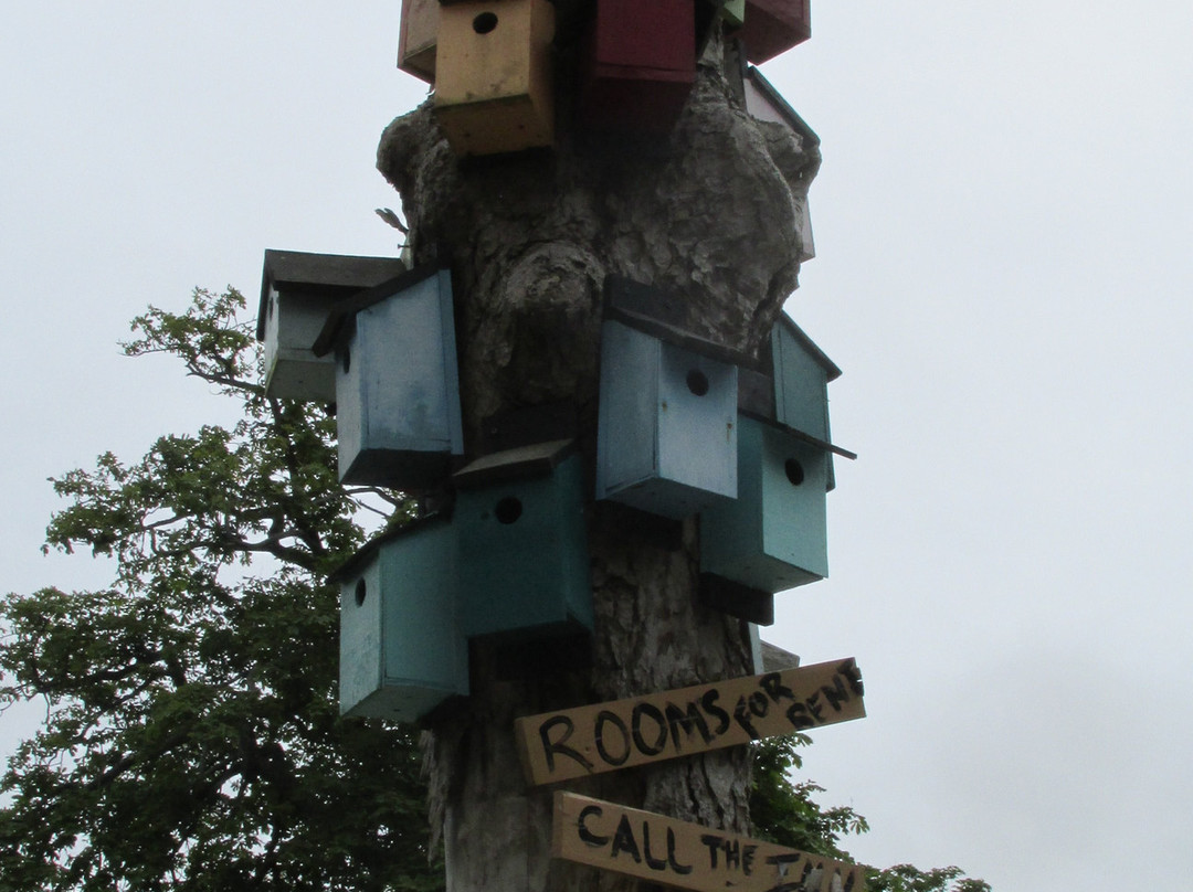 Pelton-Fuller House-Yarmouth必去景点