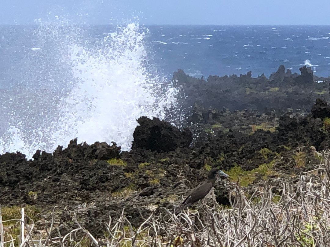 Lily Beach-圣诞岛必去景点