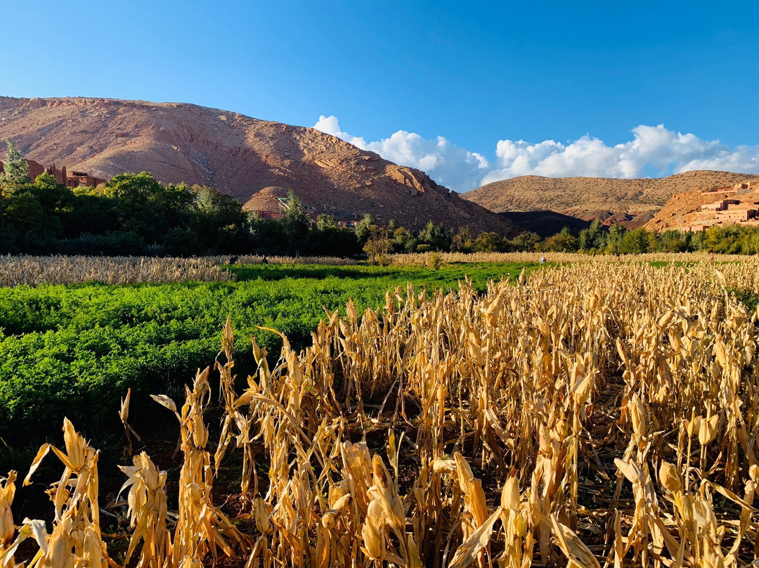 Kasbah Tigmi N'Oufella主图