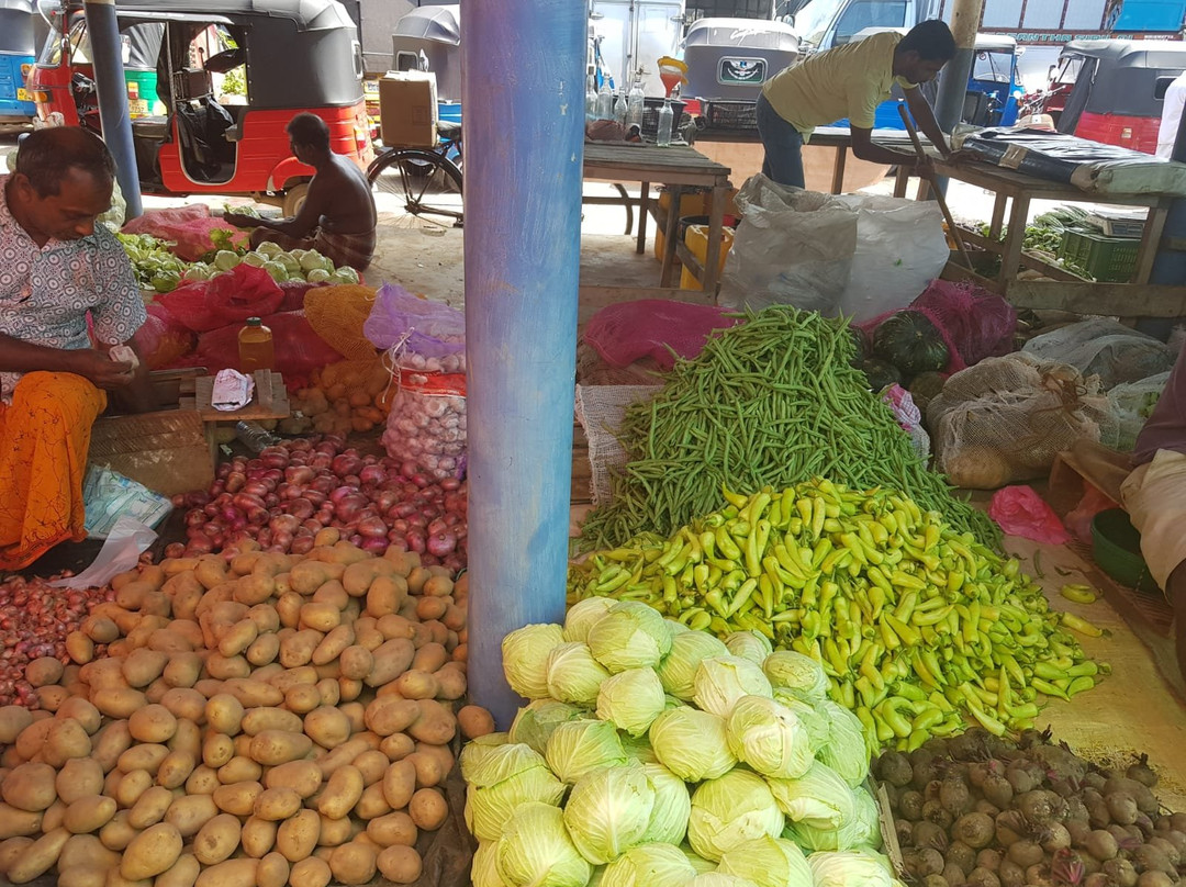 Ahungalla Cooking Class-亚洪加拉必去景点