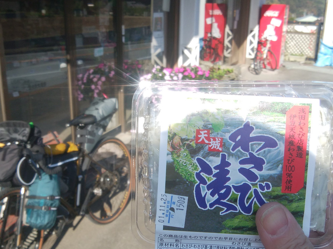 Asada Wasabi-伊豆市必去景点