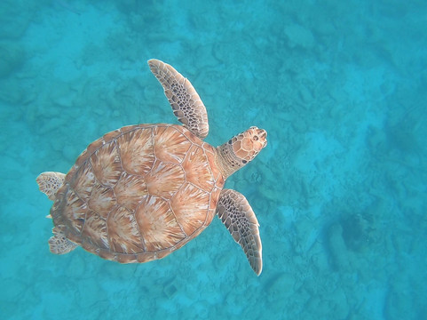 Island Routes-布里奇顿必去景点