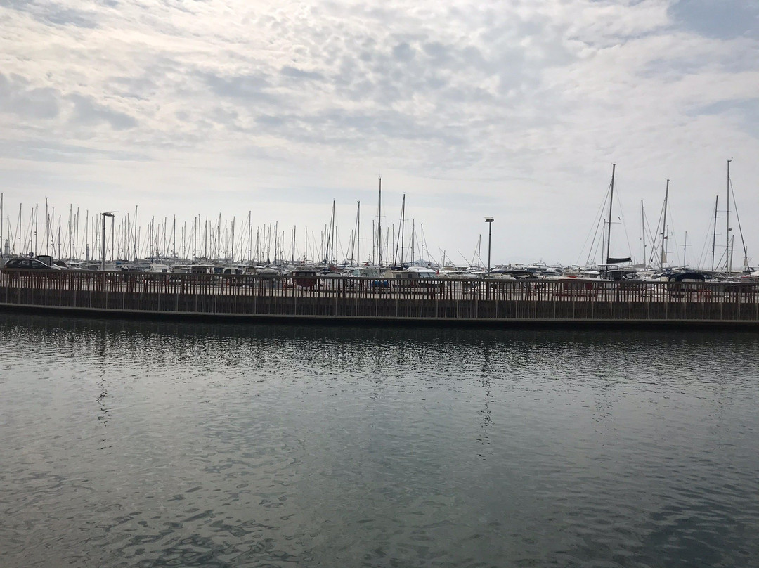 D-Marin Turgutreis景点图片