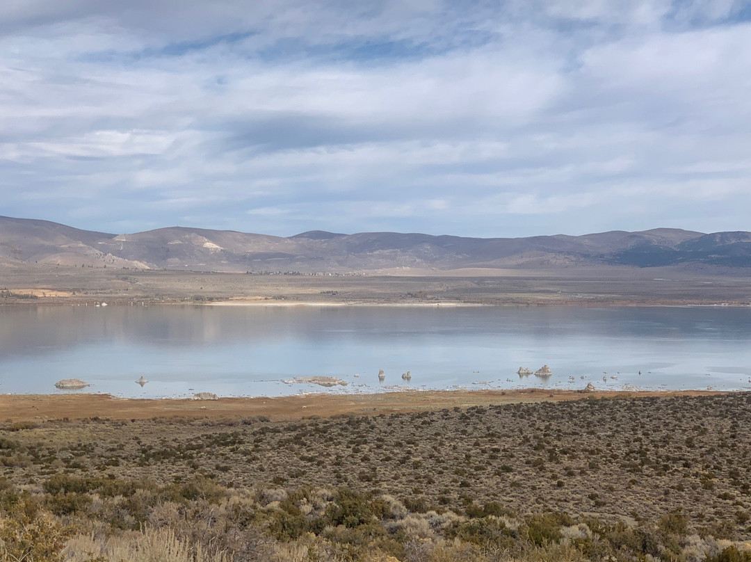 Mono Basin Scenic Area Visitor Center-利韦宁必去景点