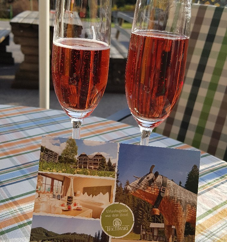 Almgasthof Hotel Teichwirt主图