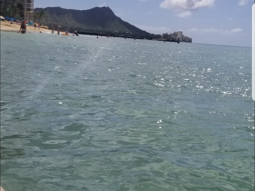 Koa Beach Service-火奴鲁鲁必去景点