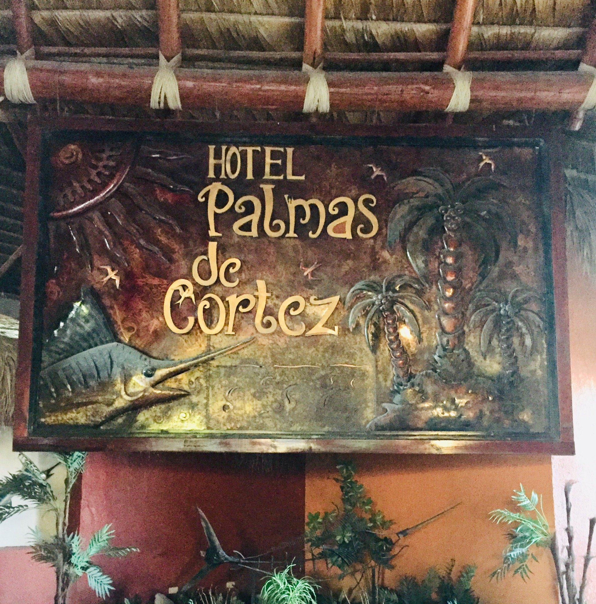 Hotel Palmas De Cortez-portrait