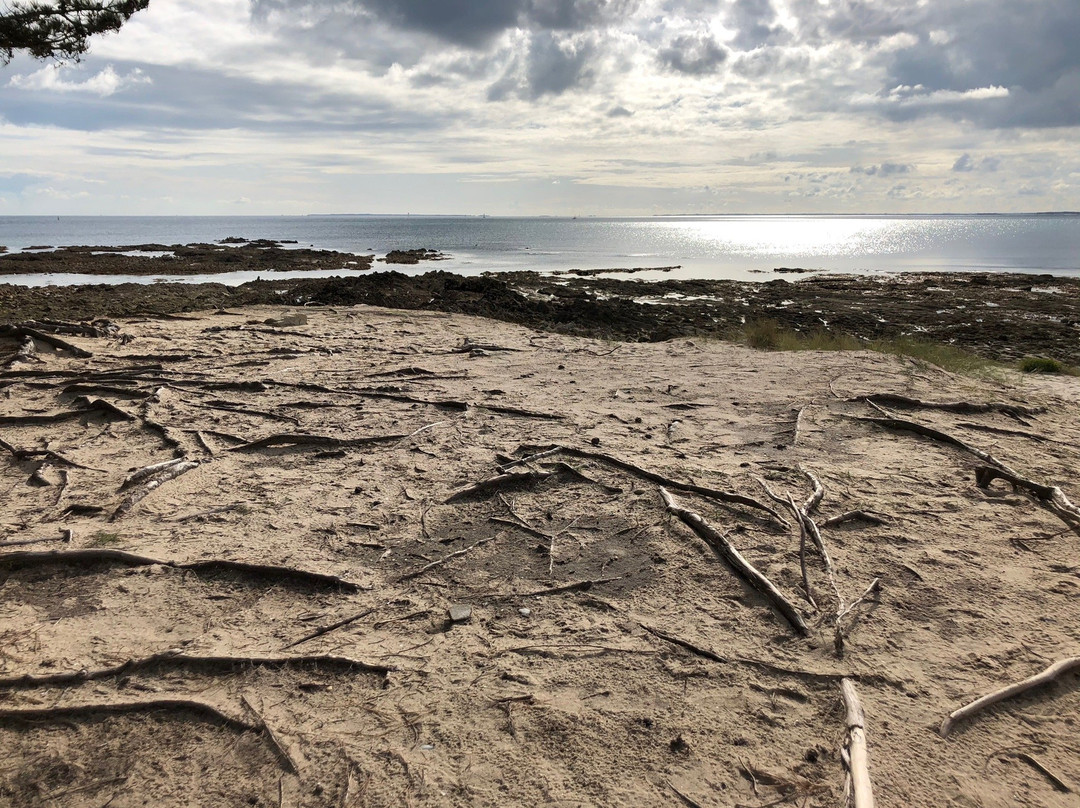 Le Chemin des Douaniers-La Trinite-sur-Mer必去景点
