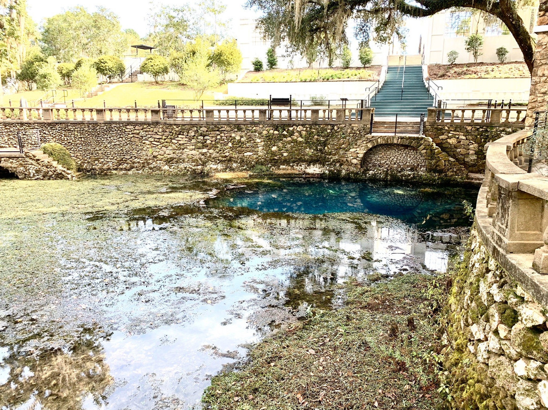 Radium Springs Gardens-奥尔巴尼必去景点