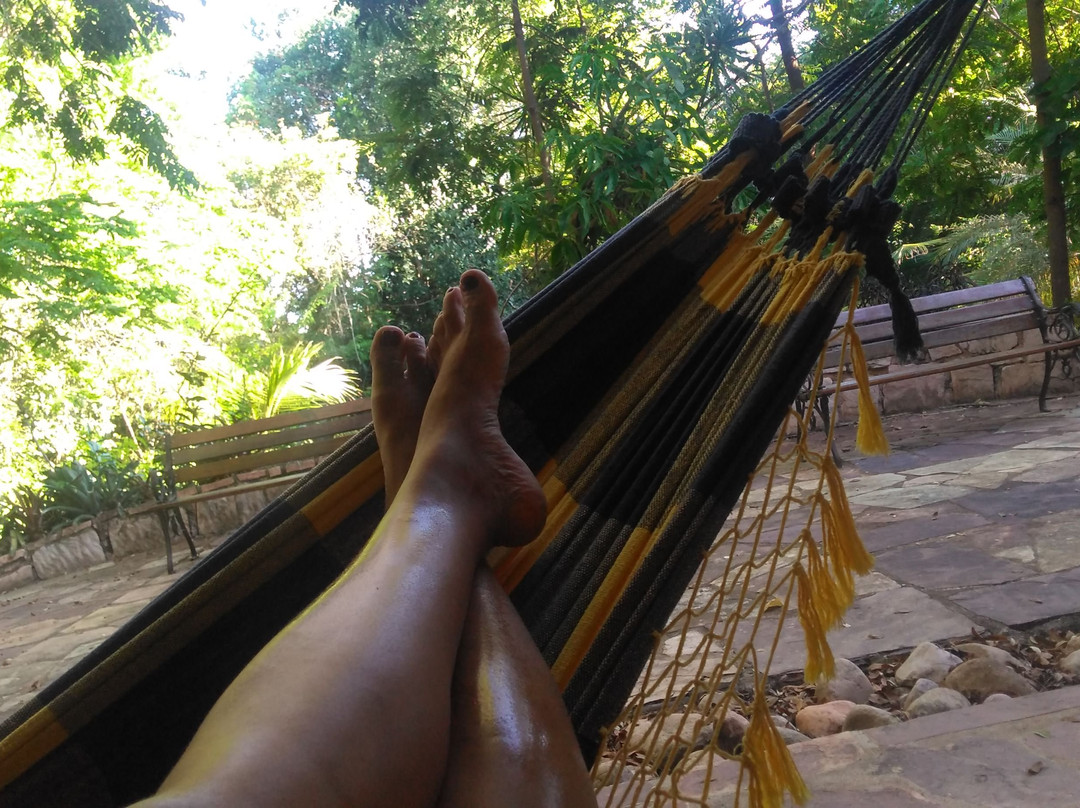 Pousada Canto No Bosque主图