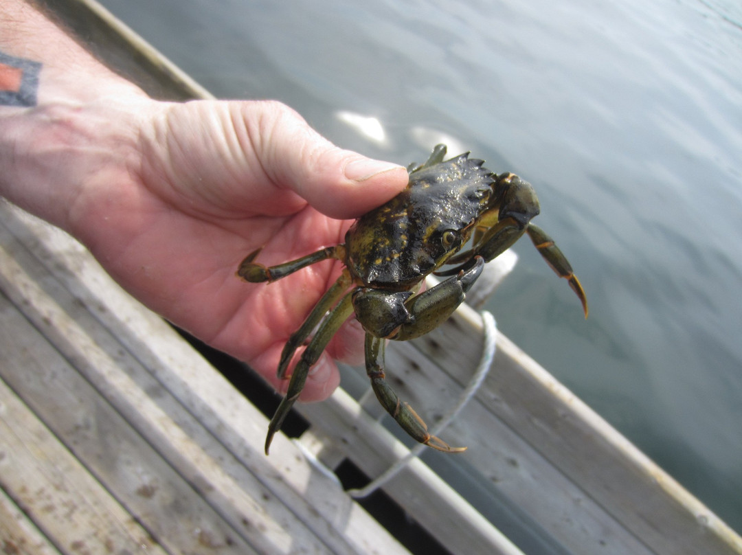 Cape Breton Lobster Adventure Tours景点图片