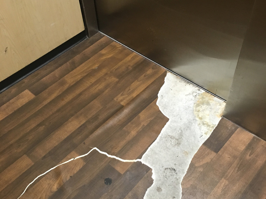 Extended Stay America - Washington, D.C. - Springfield主图