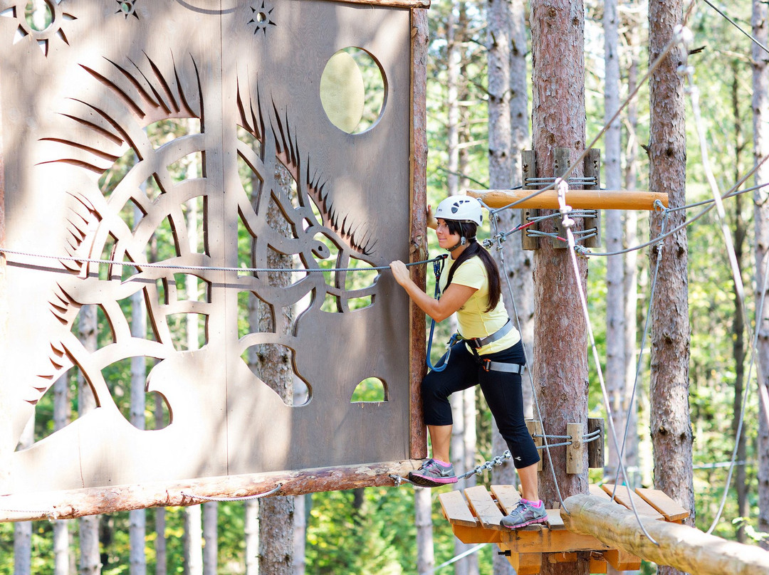 Treetop Trekking - Ganaraska景点图片