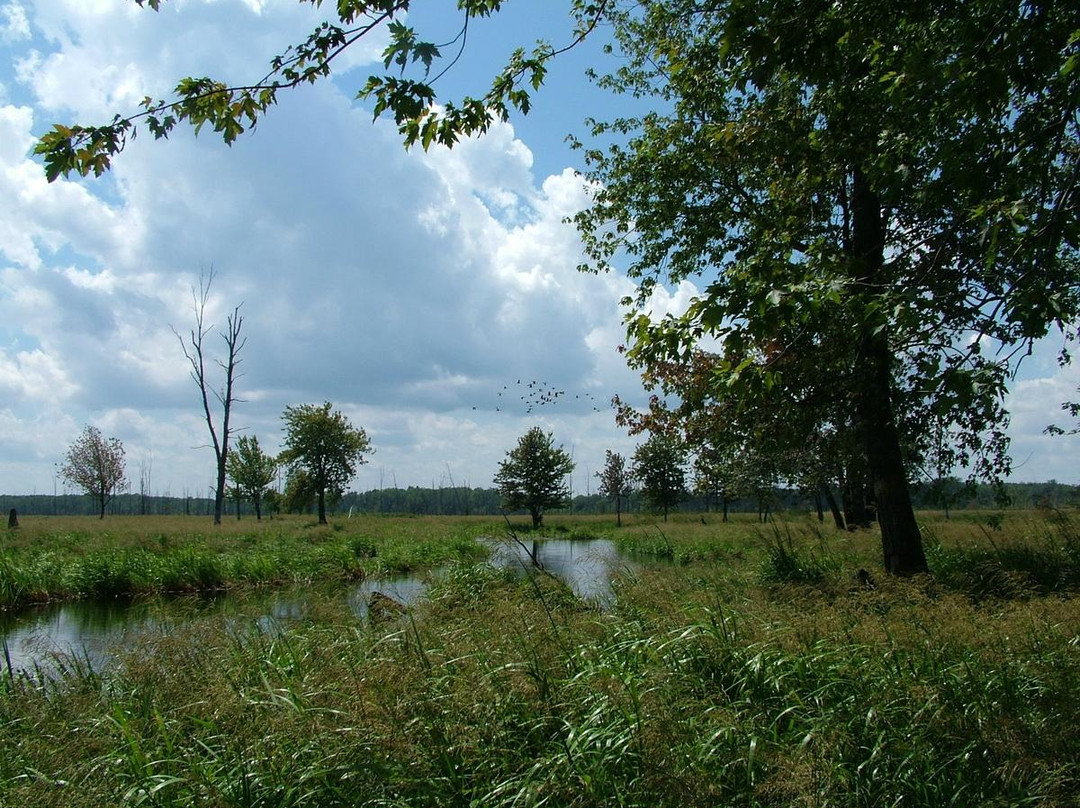 Minesing Wetlands Conservation Area景点图片