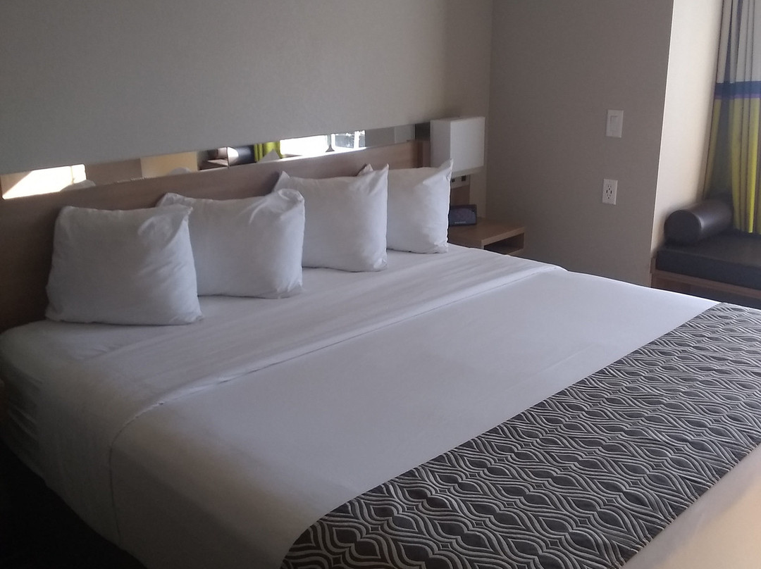 Microtel Inn and Suites by Wyndham Lubbock主图