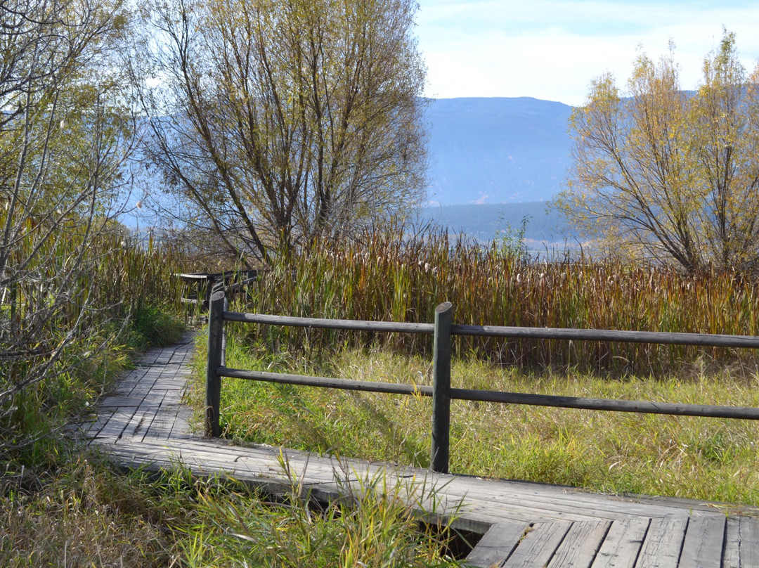 Salmon Arm Bay Nature Enhancement Society景点图片