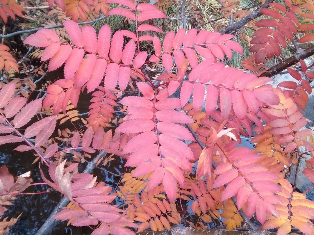 Comapedrosa Highlands Trail-阿林萨尔必去景点