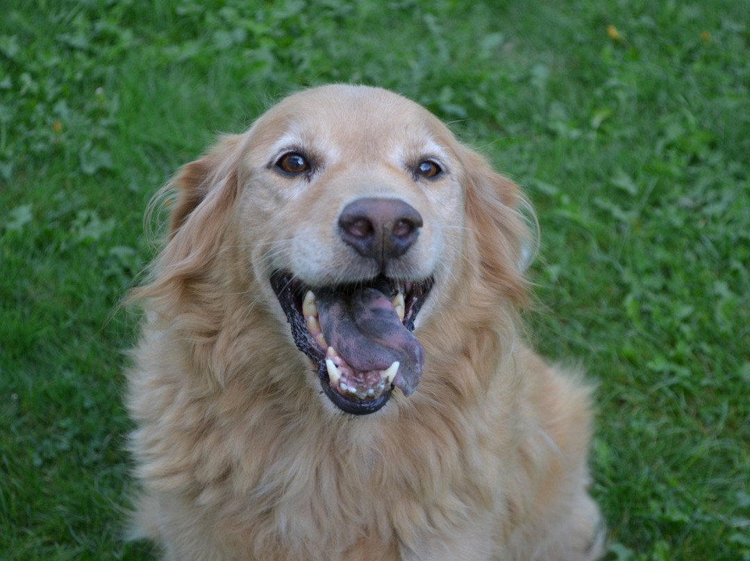 Character's Pub & Grill-奇利瓦克必去景点