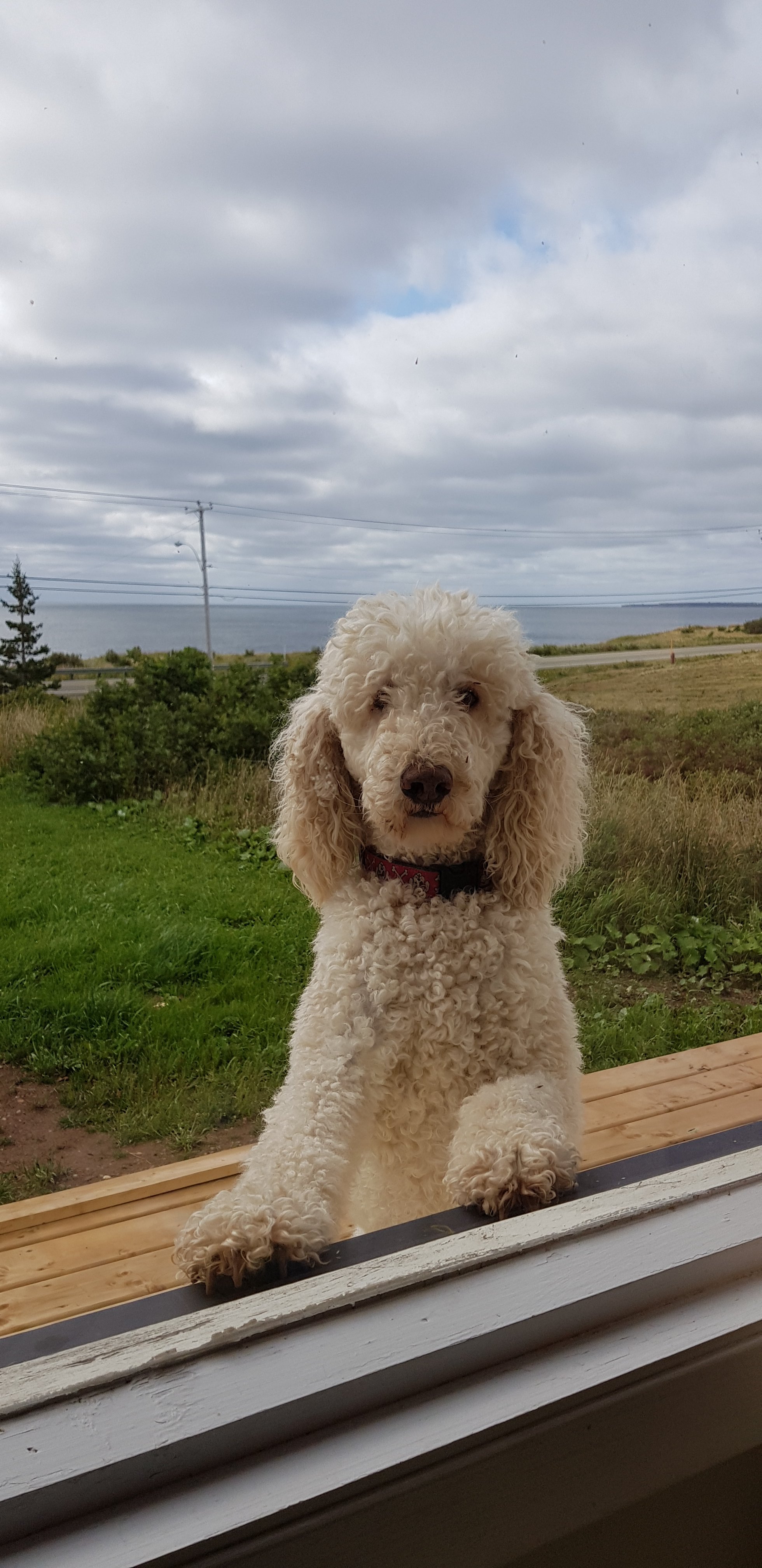 Au Coin De La Berge-官方