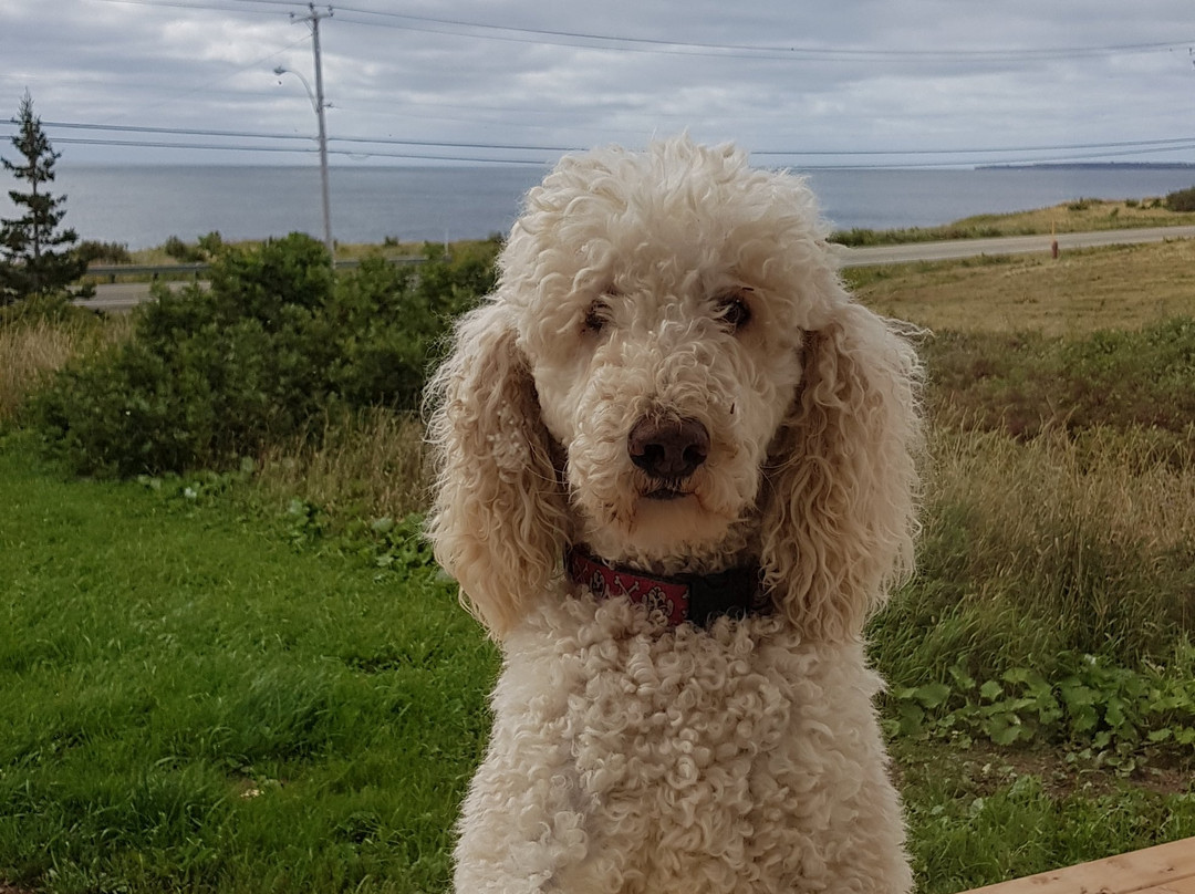 Au Coin De La Berge主图