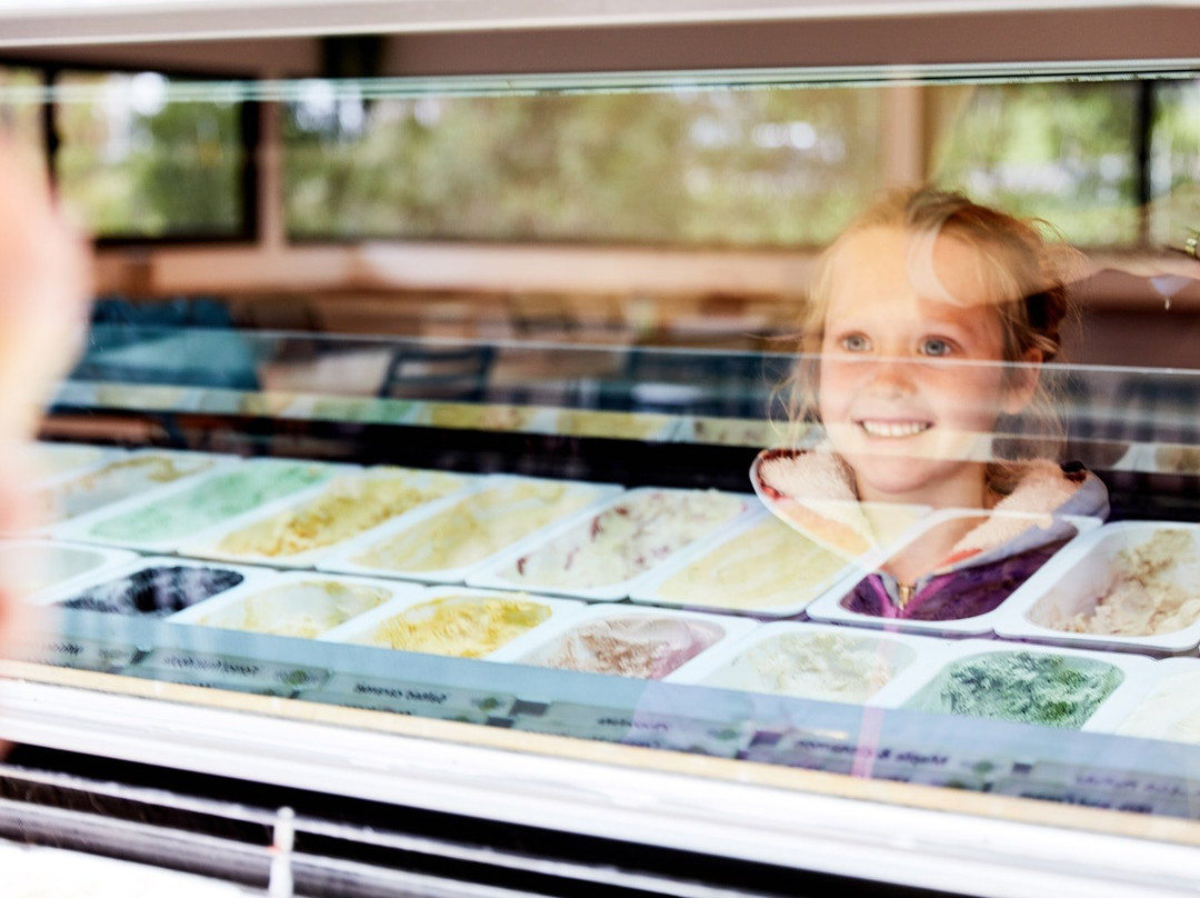 廷布恩餐馆和美食-Timboon Ice Creamery