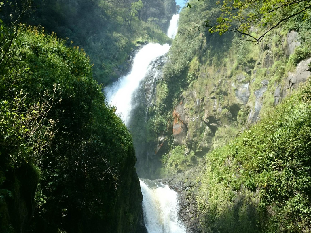 Cascadas Tuliman景点图片