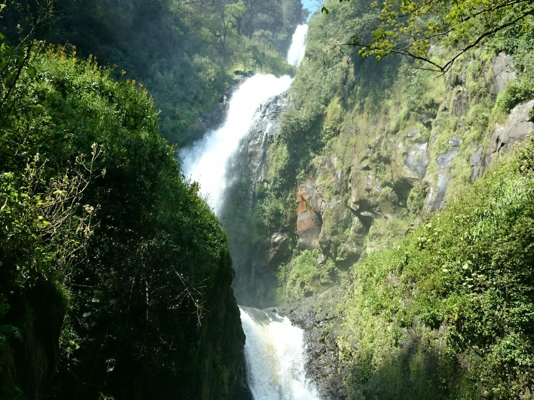 Tlaxco Municipality旅游攻略图片