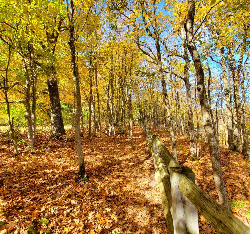 Thacher State Park景点图片