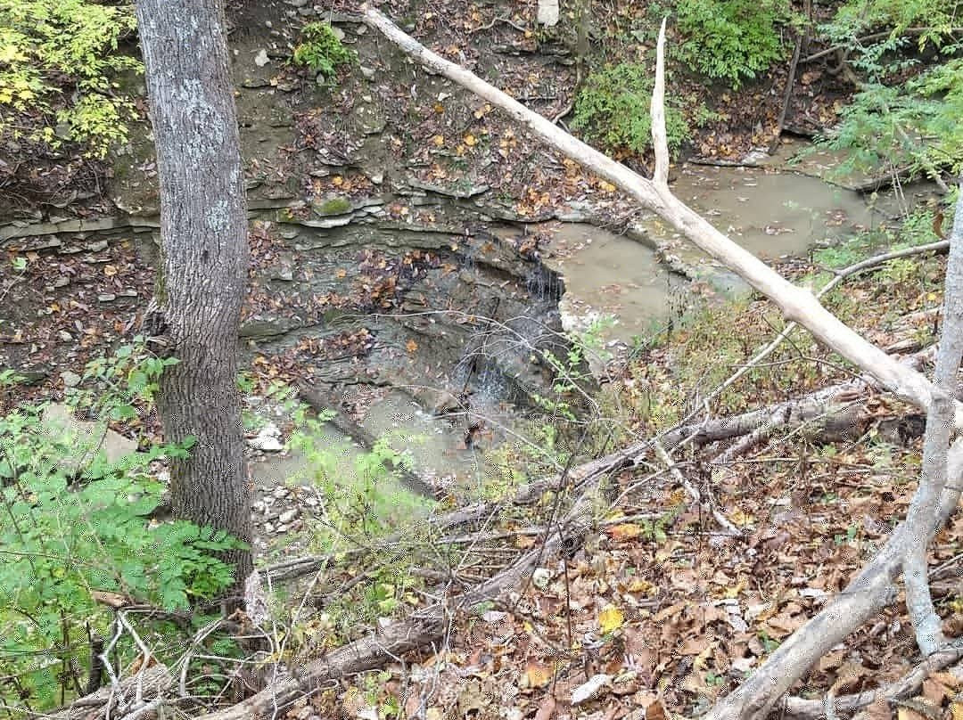 The Narrows Reserve Nature Center