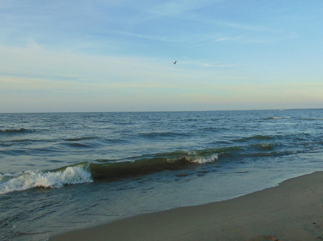 Nickel Plate Beach-Huron必去景点