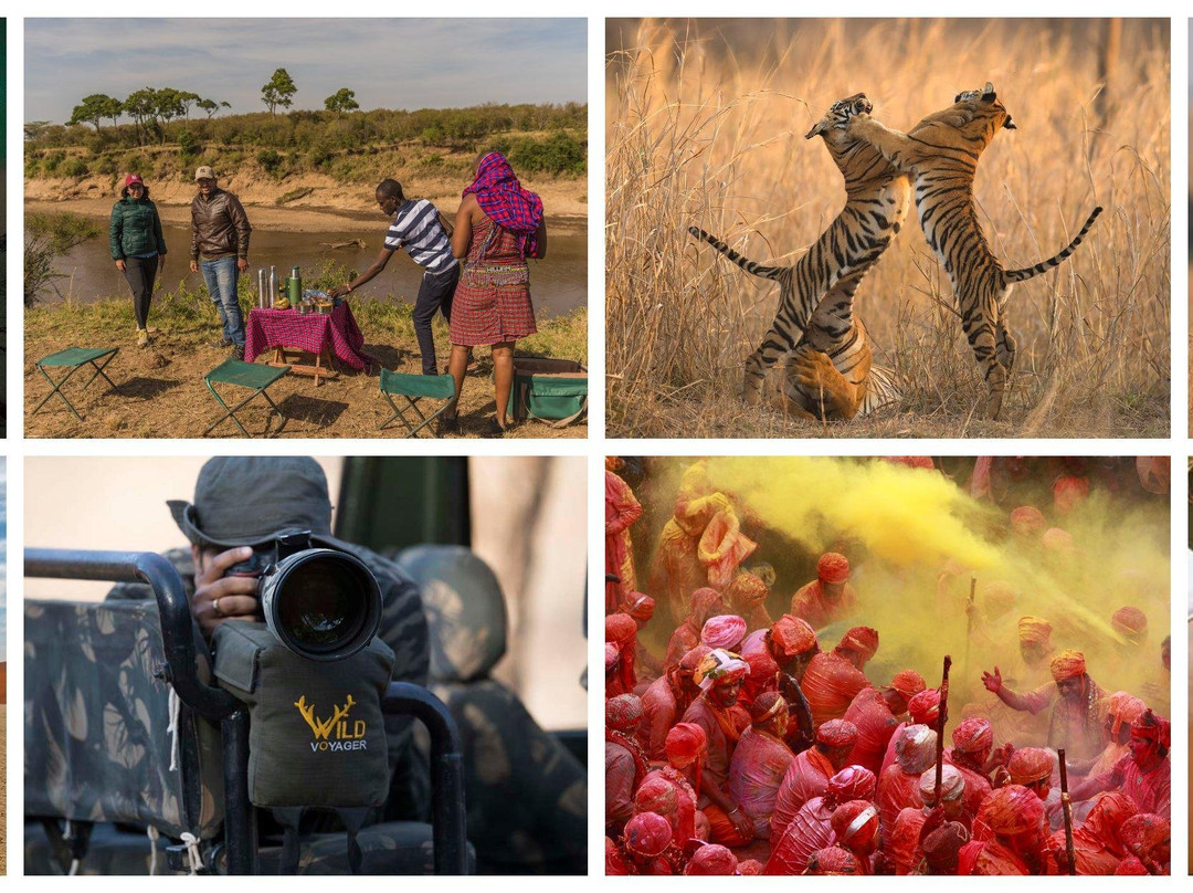 Wild Voyager-纽约市必去景点