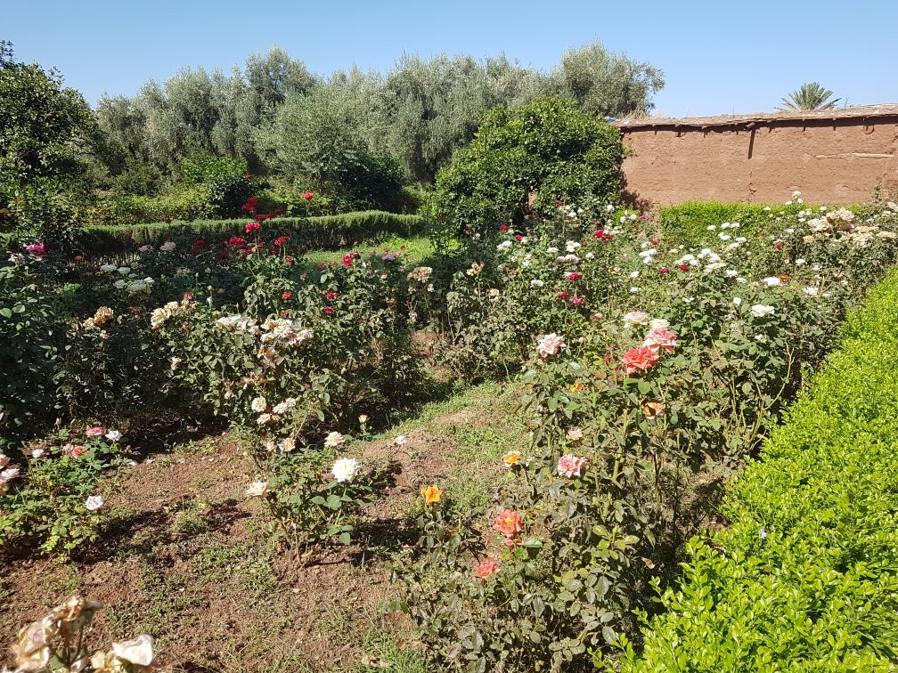 Le Jardin du safran-Ourika必去景点
