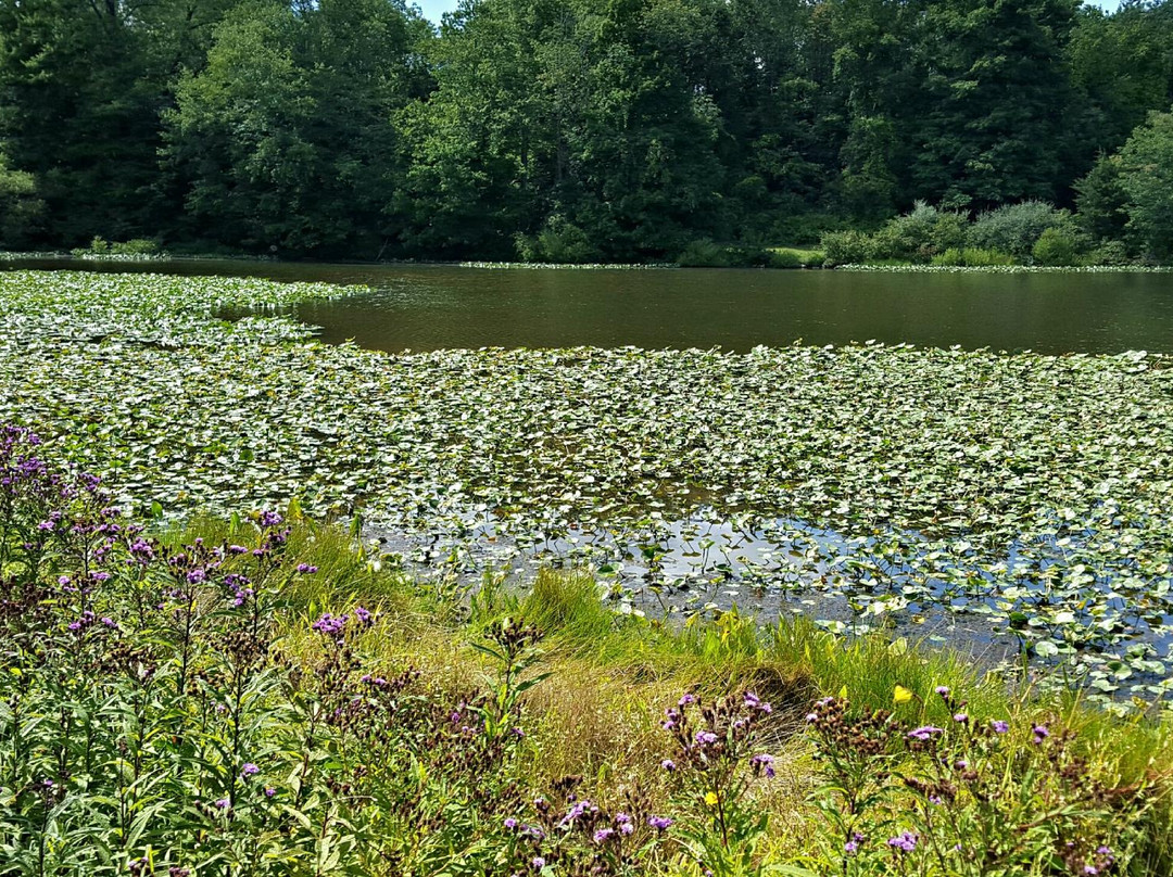 Lawrence Hopewell Trail-Pennington必去景点
