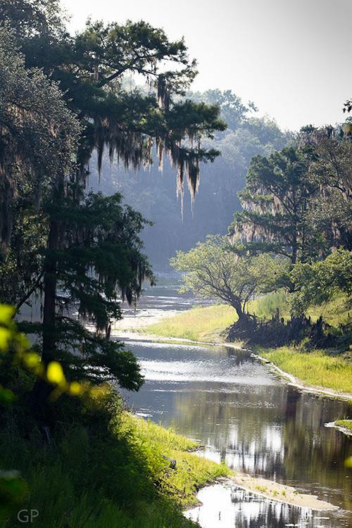 Spirit of the Suwannee Music Park