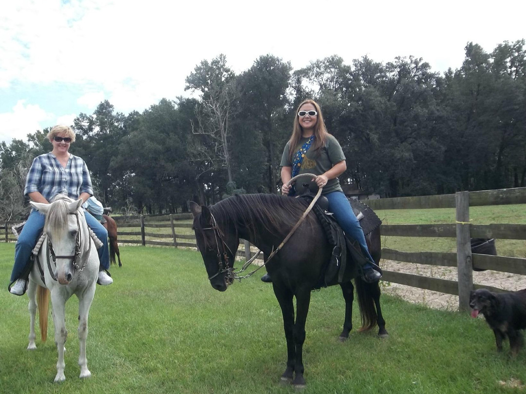 Young's Paso Fino Ranch-奥卡拉必去景点