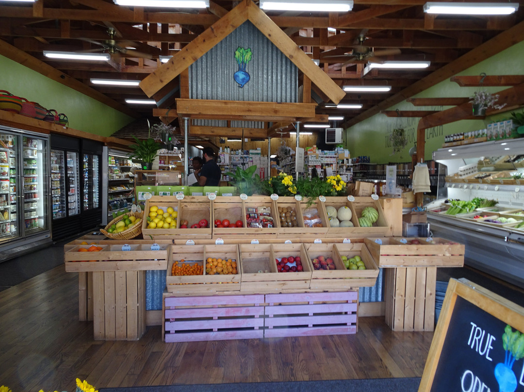 Soto's True Earth Market-坎布里亚必去景点