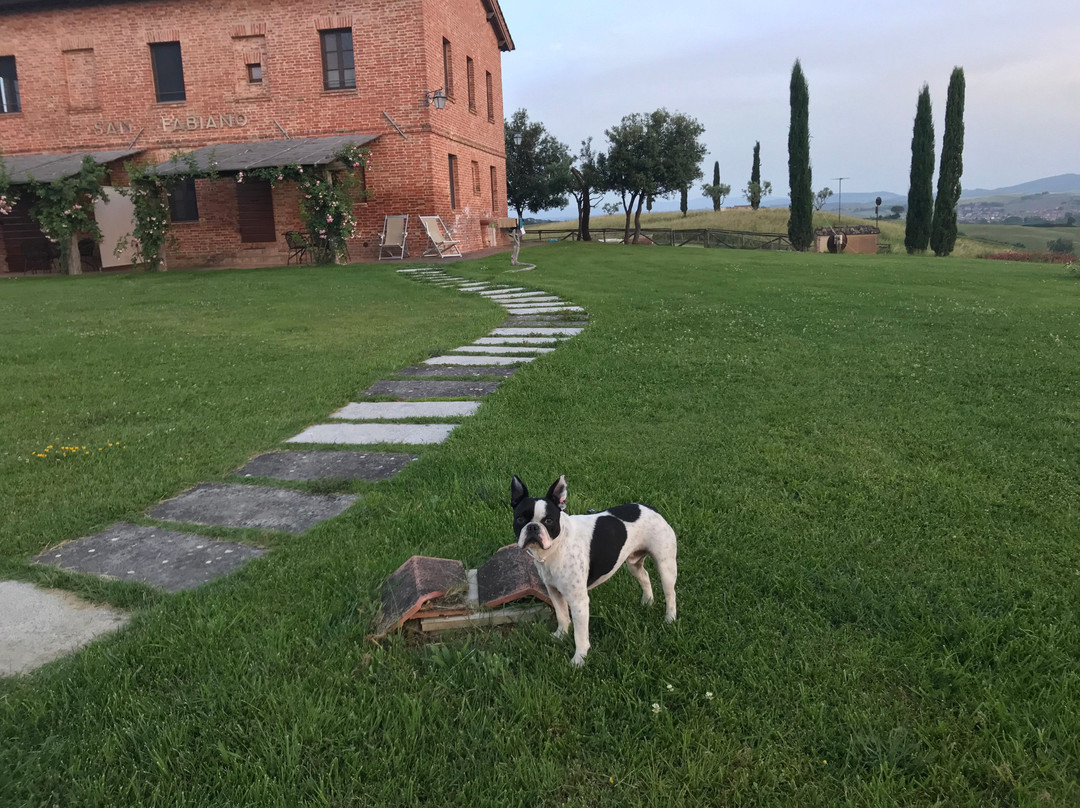 San Giovanni in Poggio主图