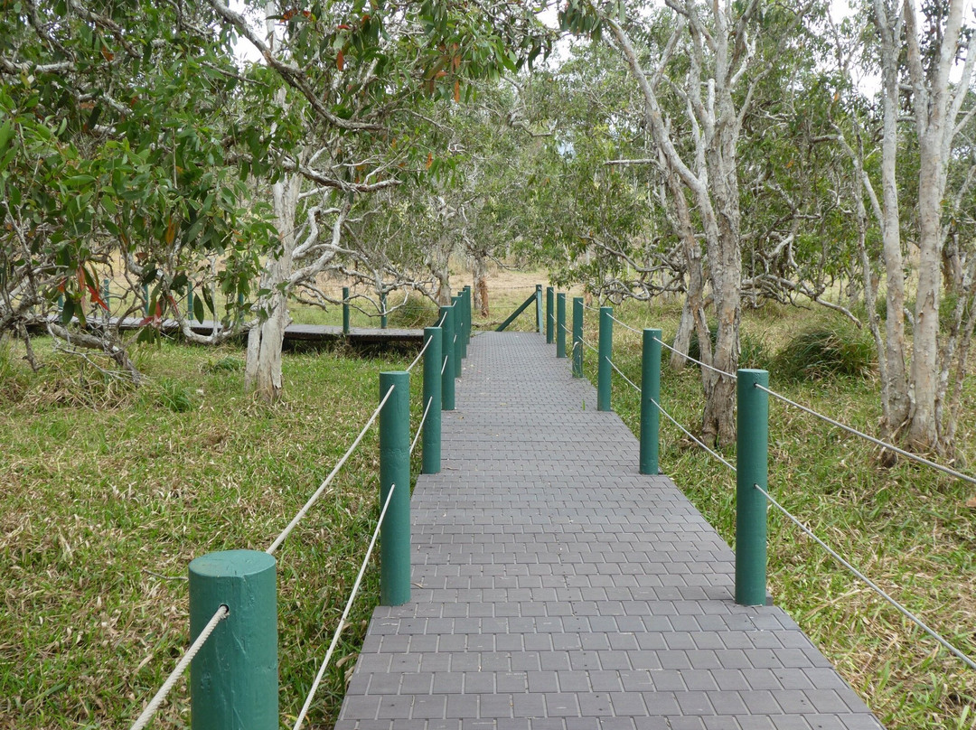 Abattoir Swamp Environmental Park-Julatten必去景点